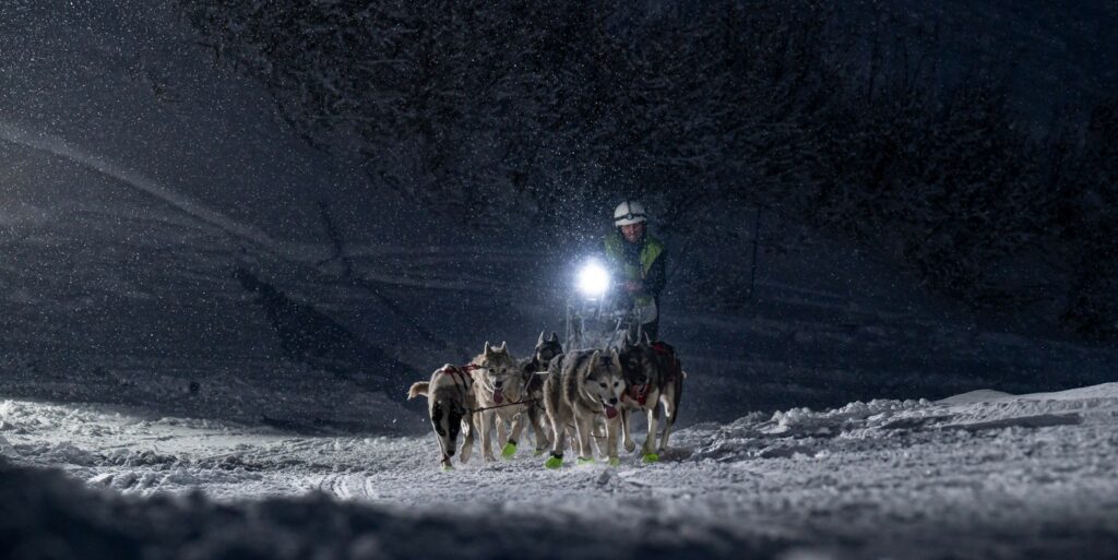 Photo en format paysage prise de nuit sous la neige. Nous voyons 6 chiens de traineaux avec un musher, sur la neige, en montée, éclairés par une lampe fixée au traineau.