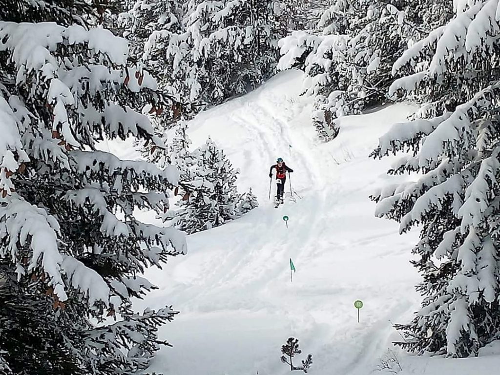 Photo prise en pleine hiver dans une foret. Nous pouvons voir Théo en compétition de ski alpinisme, seul au milieu du parcours