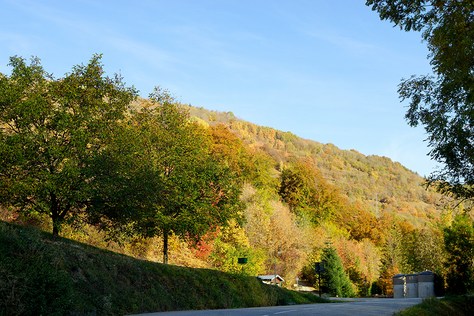 Paysage d'automne dans la montée de la Toussuire. Des arbres de toutes les couleurs célèbrent cette saison.
