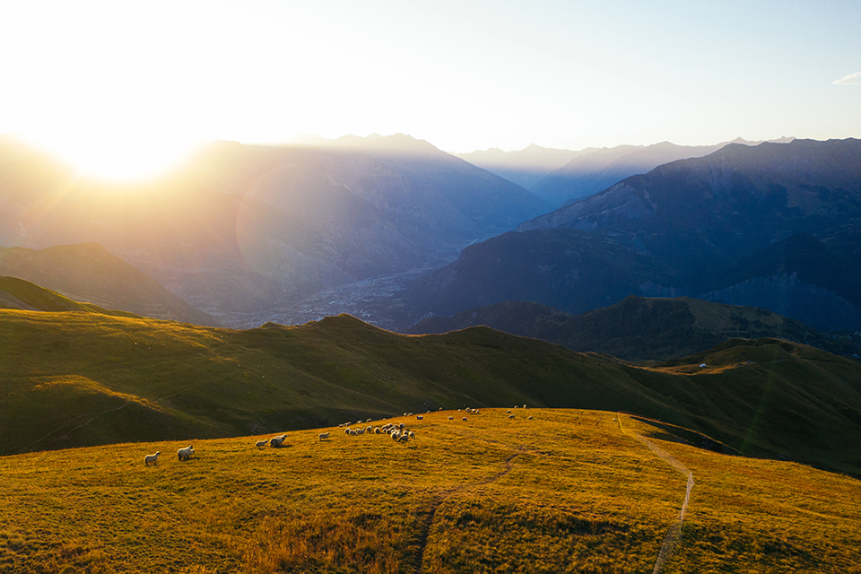 Vue des champs où paissent encore des moutons en automne à La Toussuire. La vallée de Maurienne avec la ville de Saint-Jean-de-Maurienne en contrebas, au soleil levant.
