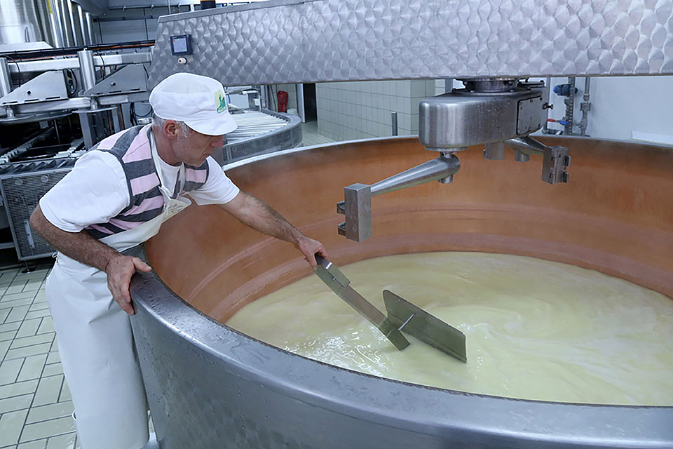 La photo représente la fabrication d'un fromage. Nous pouvons voir un personnel de la coopérative en train de remuer la cuve