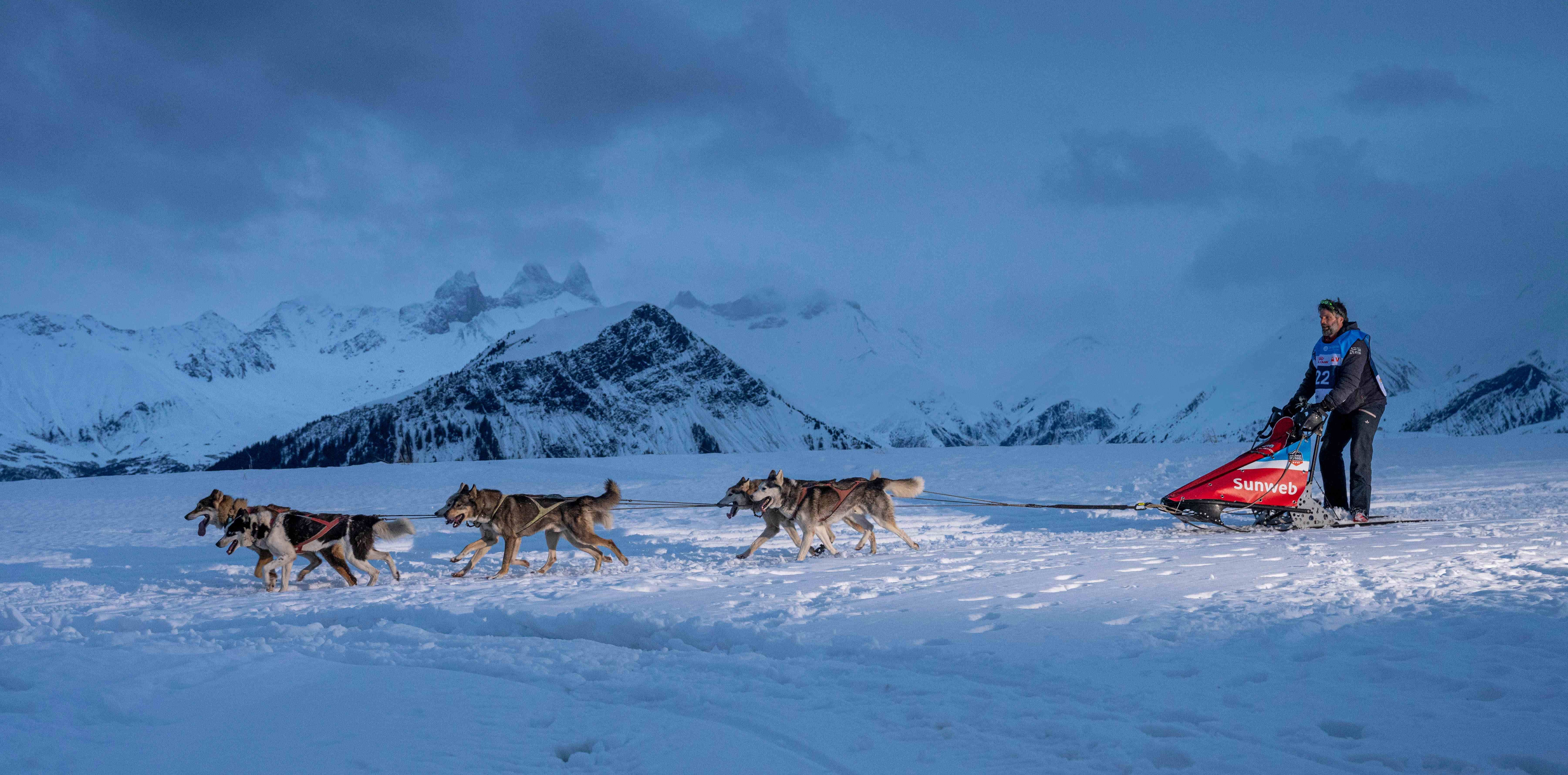 Photo prise en format paysage à la tombée de la nuit, pendant l'hiver. La photo a été prise pendant l'événement la Grande Odyssée VVF qui est une course de chiens de traîneau. Nous pouvons voir un musher avec ton attelage. En arrière plan nous pouvons voir le Mont Charvin et les Aiguilles d'Arves.